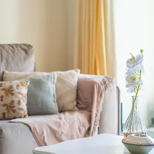 Apartment Bellemar By Madeira Sun Travel, Funchal (Madeira)